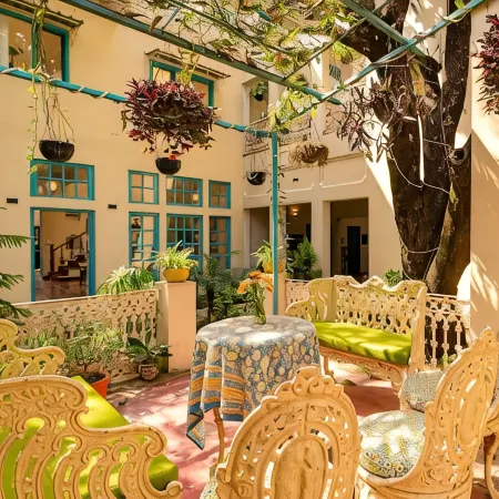 Mango Tree Courtyard Dehradun