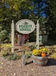 Spacious White Mountain Waterville VALLEY CONDO - Perfect for Families! - Wifi
