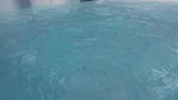 Hotel Elite - Hot Tub