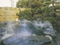 Ryofuan - Hot Springs
