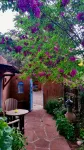 Cozy Casa Carmelita features a Brilliant Kiva Fireplace, Unique Patio & Hot Tub! - Boutique
