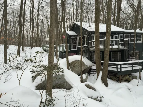 Log Cabin on A Lake with Private Dock & Beach! One Hour from NYC! No Pet Fees! - Wifi