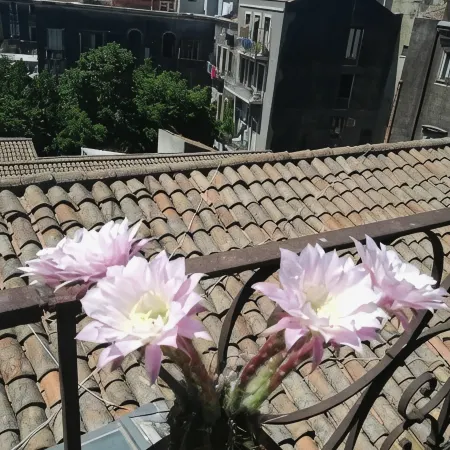 Hotel Biscari