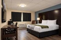 Bedford Motel - 2つ星