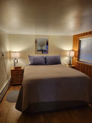 Rustic, Cozy Cottage with Backyard Waterfall and Cayuga Lake Views! - โฮมสเตย์