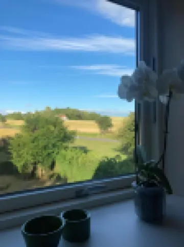 เรซิเดนส์ สวาลฮอย