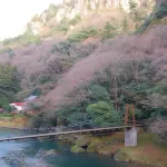 Hakkoen