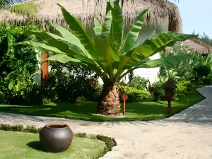 Cham Villas Resort