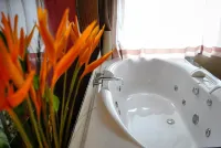 Hotel Elizabeth Cebu - Bathtub