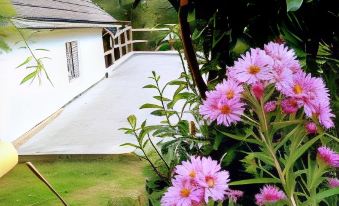 Chambres d'Hotes Souffle Nature