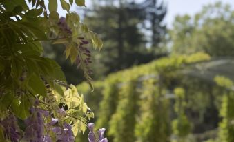 Hyatt Regency Sonoma Wine Country
