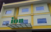 Ion Hotel