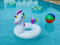 Quality Lodge - Cedar Point Area - Pools