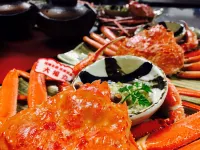 Chikuyou Hotels in Yasugi