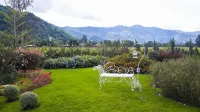 The Focus Khaoyai Resort