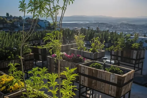 아마테 웰네스트 커뮤니티