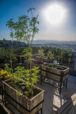 Hotel Amatte San Miguel de Allende Hotels in 