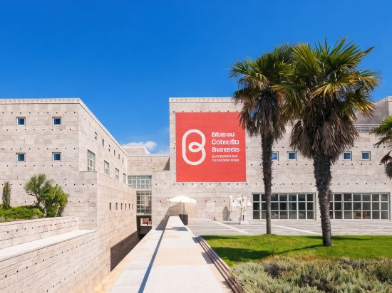 Famous Crows Lisbon Suites