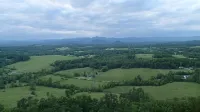Peace-in-the-Forest Retreat - Singles, Couples, Artists, Forest Lovers