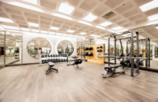 Skywave Apartment Firework Delight