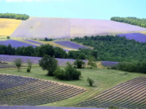 L'Aptois Hôtel Hotéis em Apt