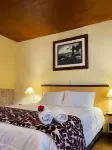 Minkana Hotel Hotels in 