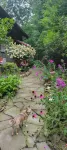 Mountain Top Cabin with a View that is Centrally Located in Western Carolina. - Alppimaja