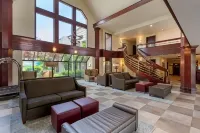 小馬戰士貝斯特韋斯特機場飯店