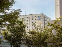 Daiwa Roynet Hotel Hamamatsu Hotels near Tartaruga