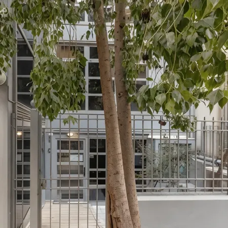 Bright Eco Studios by Ghh Отели в г. Кесариани