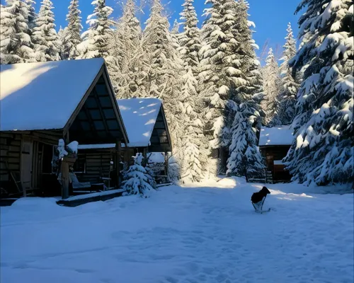 Lynx, wildlife, custom log cabin . private lake access, salmon stream kayaking, Hotels in Moose Pass