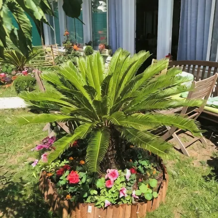 baroque villa