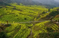 Muxue Yiju 270° Panoramic Mountain View Resort (Hangling Scenic Area Branch) - Romantic