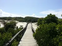 Peaches and Beaches.... Come Eat Some Fresh Peaches, Close to the Island Beaches - Homestays