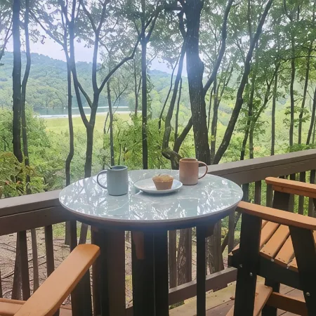 Romantic Retreat in the Treetops of Big Canoe with Hot Tub & Stunning Views!