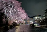 Fuji-View Hotel - Parking
