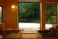 아카기 온센 호텔 - 온천