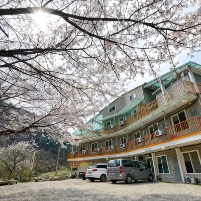 Gapyeong Yongchu Valley Travel Pension Отели рядом с достопримечательностью «Храм Тэвонса»