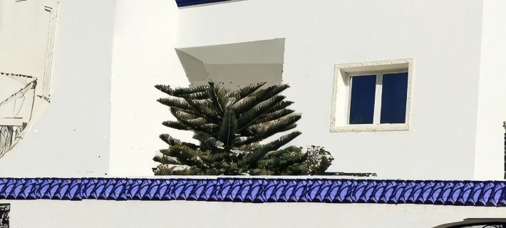 Superb beachfront apartment Hotels in Sousse