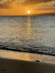 Luxury villa on the beach! - Villas