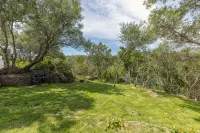 Villa Marianna 800mt from the Beaches Sea View, Large Garden, Verandas, Barbecue - 3 stjerner