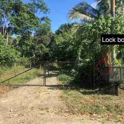 Kraken Cabin-escape in the jungle, abundance of wildlife,  walk to Golfito Bay. Hotel Exterior