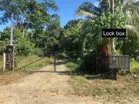 Kraken Cabin-escape in the jungle, abundance of wildlife,  walk to Golfito Bay. - 3-Star