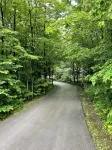 3BR Home Nestled on a Door County Wooded Lot - Wi-Fi