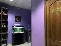 Dobryij Kot Mini-Hotel