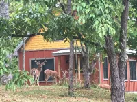 The Bright House is a newly constructed house in the Sewanee Village District. - Wifi