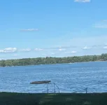 Gun Lake Cute Little Cottage Steps from Beach w Boat Slip. - 3-Star