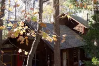 Twin Rock Tree House - Vintage Cabin
