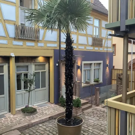 Anno Domini 1716 Boutique Hotel