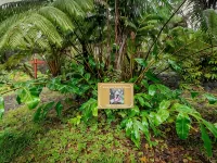 Volcano Mist Cottage فنادق في فولكانو